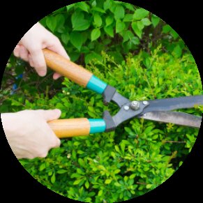 AKA Group Maintenance - Curatenie, menaj gradina si asistenta pentru instalatii electro-sanitare